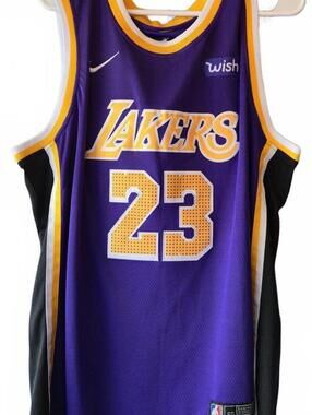 LEBRON JAMES LOS ANGELES LAKERS NIKE WISH PURPLE GOLD STITCHED JERSEY #23 SZ 50